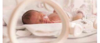 新生儿在医院孵化器