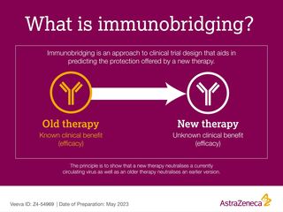 Immunobridging-Graphic
