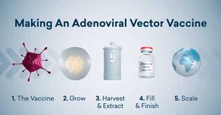 Adenoviral_Vector_Vaccine_Manufacture_film_thumbnail