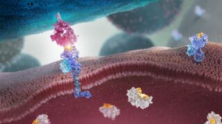 T细胞治癌科学图像